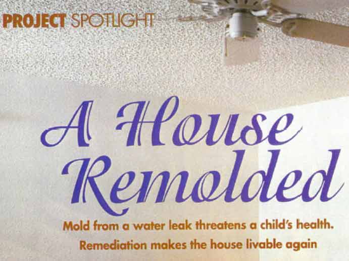 A House Remolded — residential mold remediation case study